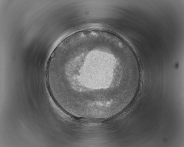 X0000114721475200912021142