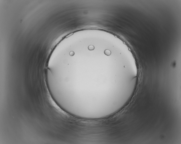 X0000114721476200912021142