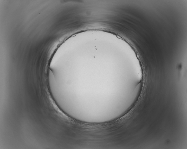 X0000114721477200912021142