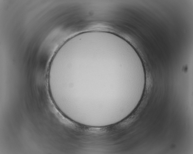 X0000114721478200912021142