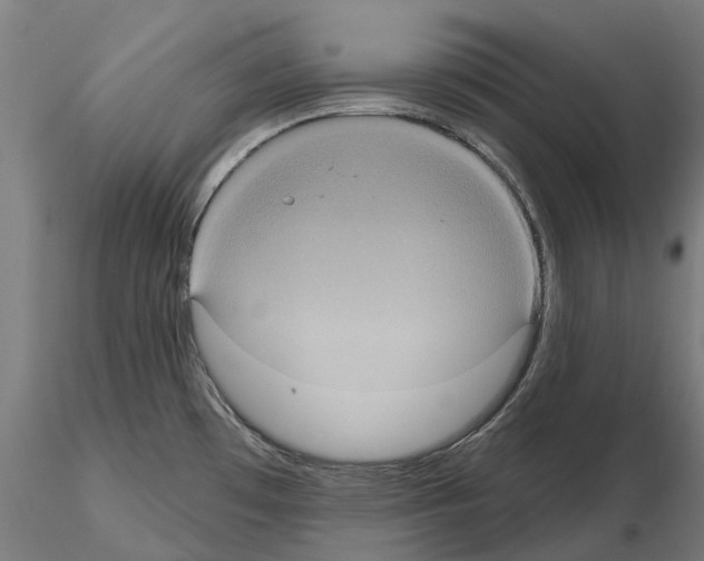 X0000114721481200912021142