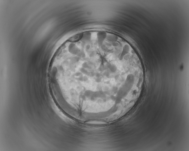 X0000114721482200912021142