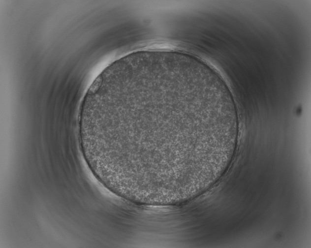 X0000114721483200912021142