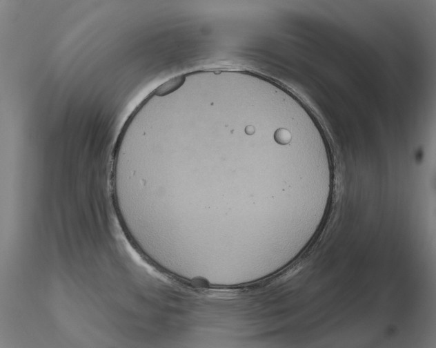 X0000114721484200912021142