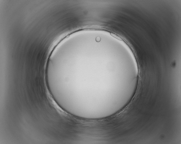 X0000114721485200912021142