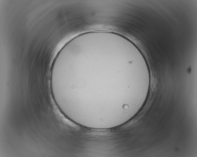 X0000114721486200912021142