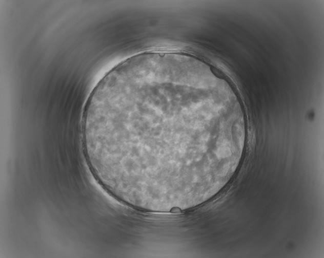 X0000114721487200912021142