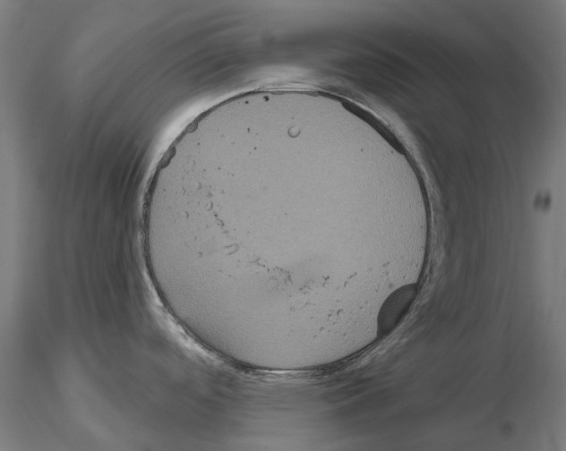 X0000114721488200912021142