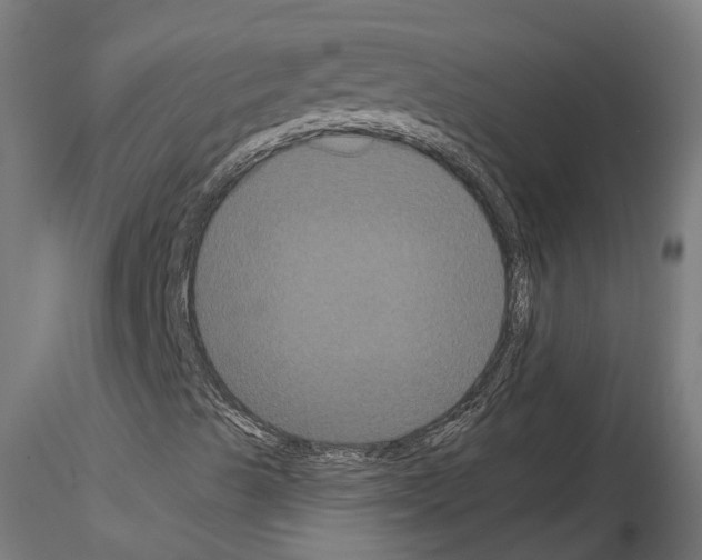 X0000114721489200912021142