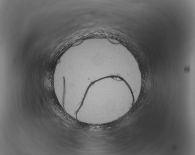 X0000114721490200912021142