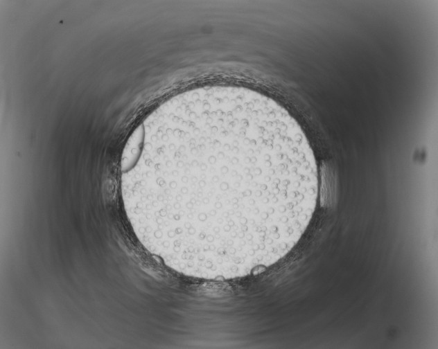 X0000114721491200912021142