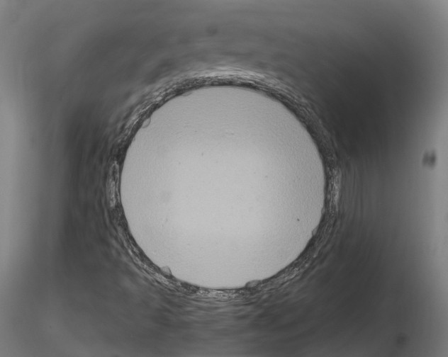 X0000114721493200912021142