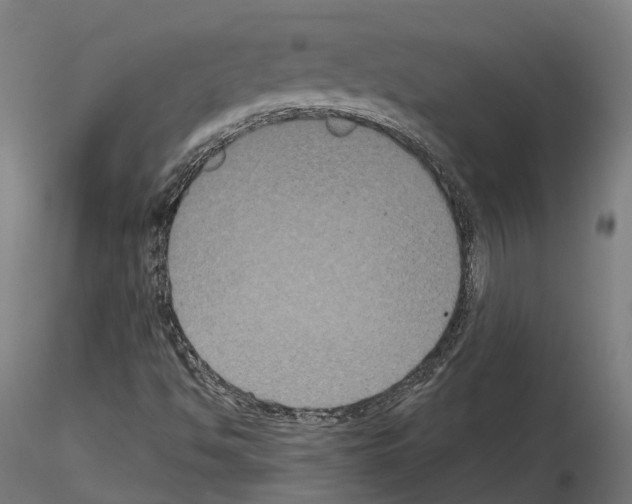 X0000114721494200912021142