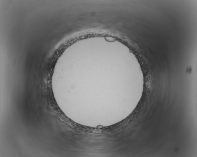 X0000114721495200912021142