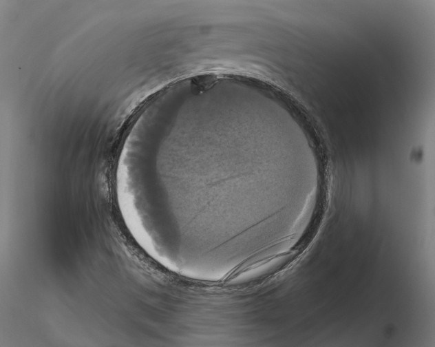 X0000114721497200912021142