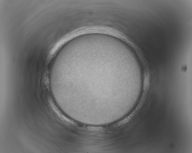 X0000114721498200912021142