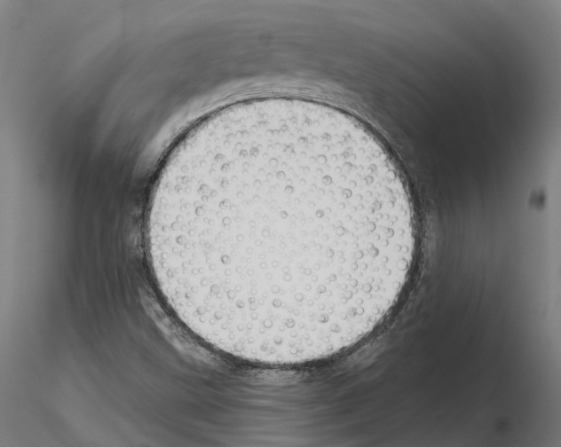 X0000114721499200912021142