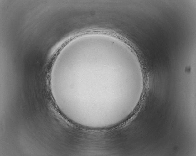 X0000114721502200912021142