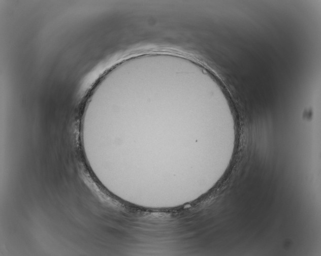 X0000114721503200912021142