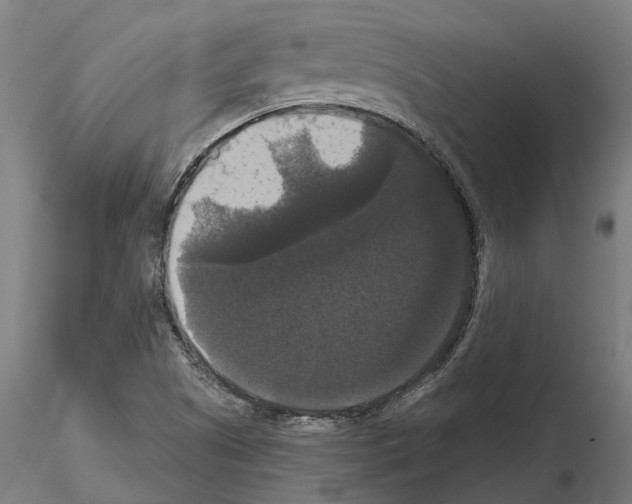 X0000114721505200912021142