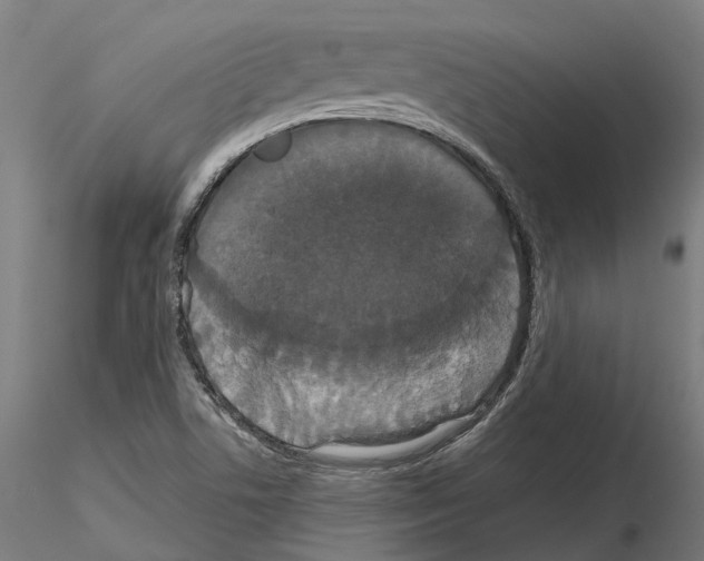 X0000114721506200912021142