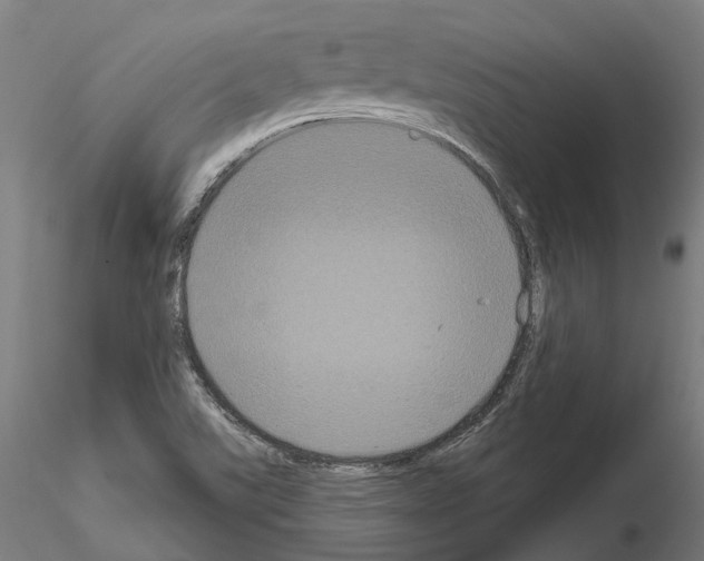 X0000114721507200912021142