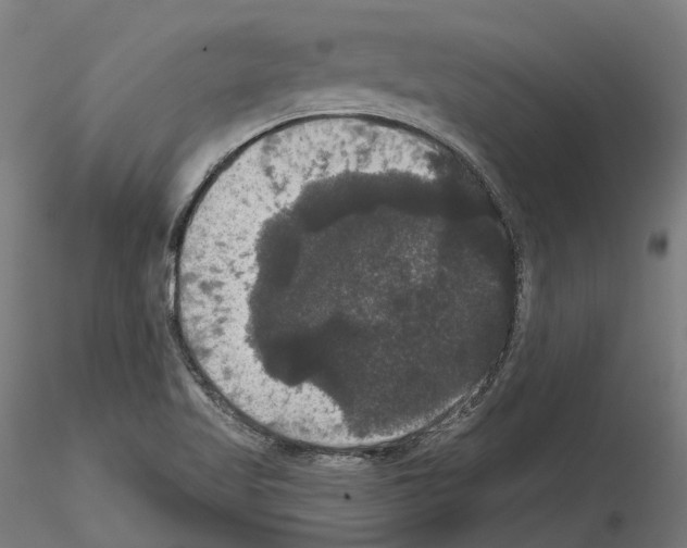 X0000114721509200912021142