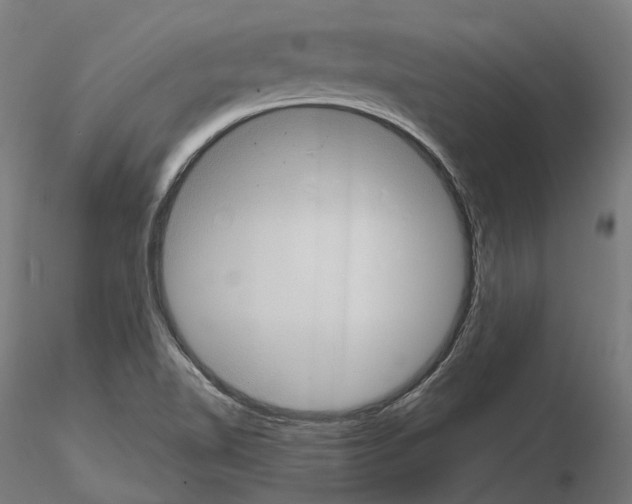 X0000114721510200912021142