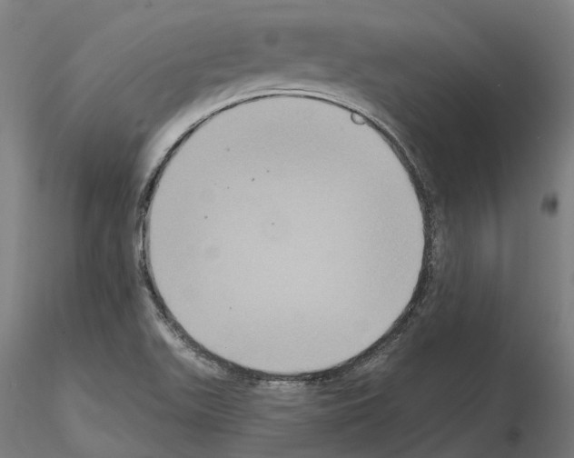 X0000114721511200912021142