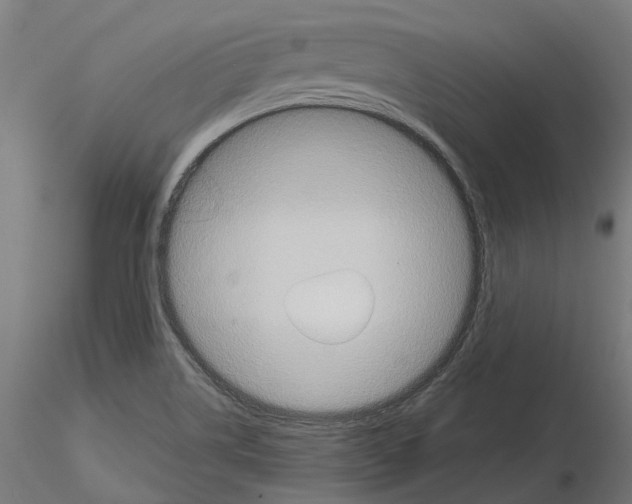 X0000114721514200912021142