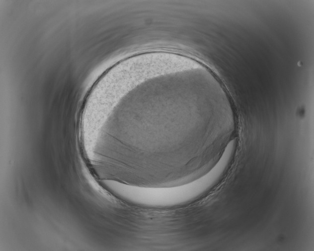 X0000114721515200912021142