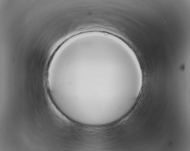 X0000114721518200912021142