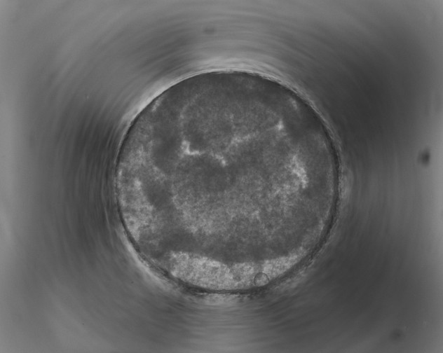 X0000114721521200912021142