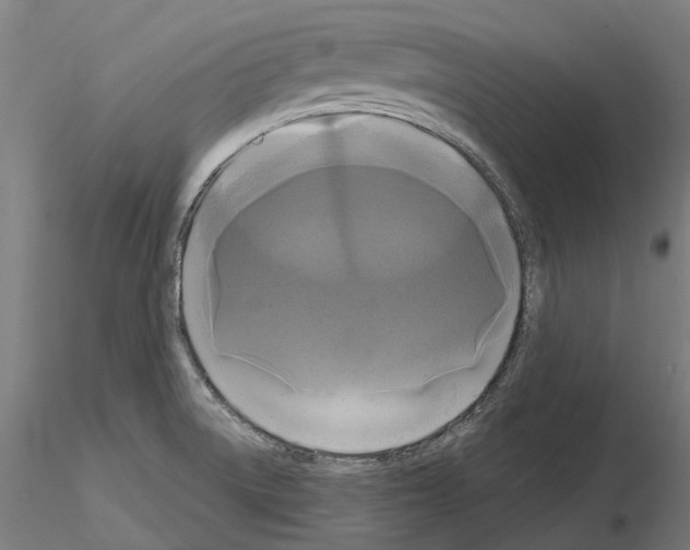 X0000114721522200912021142