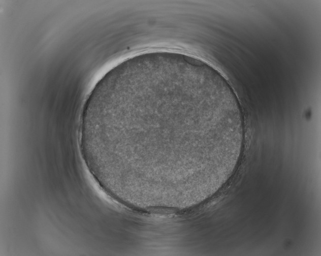 X0000114721523200912021142