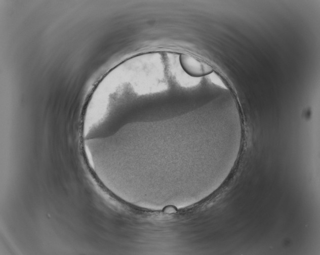 X0000114721525200912021142