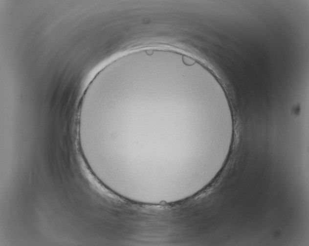 X0000114721526200912021142