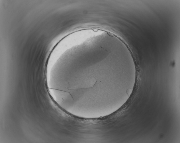 X0000114721527200912021142