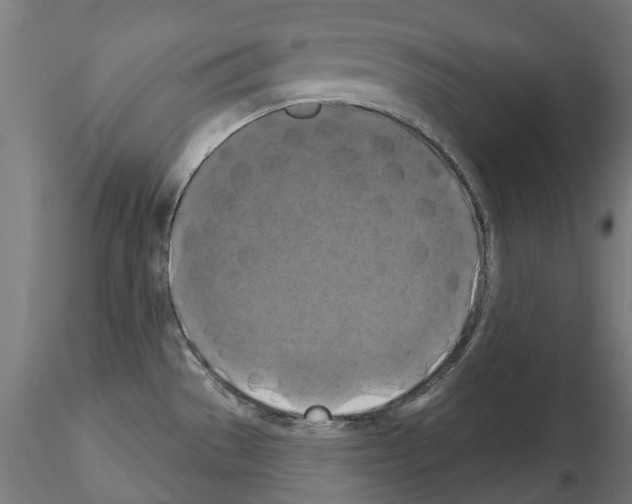 X0000114721529200912021142