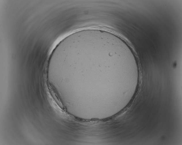 X0000114721530200912021142