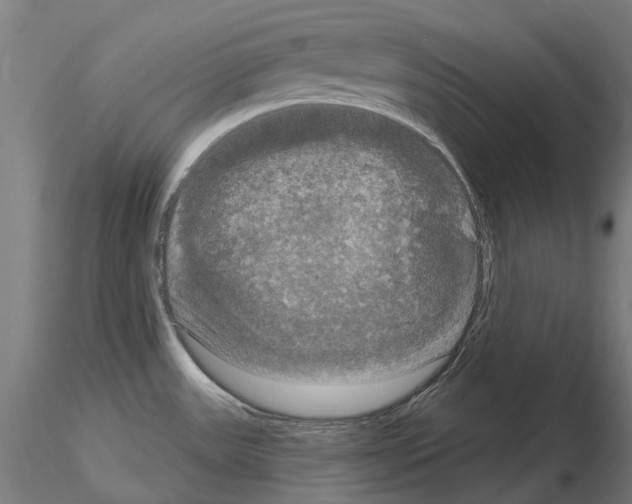 X0000114721531200912021142