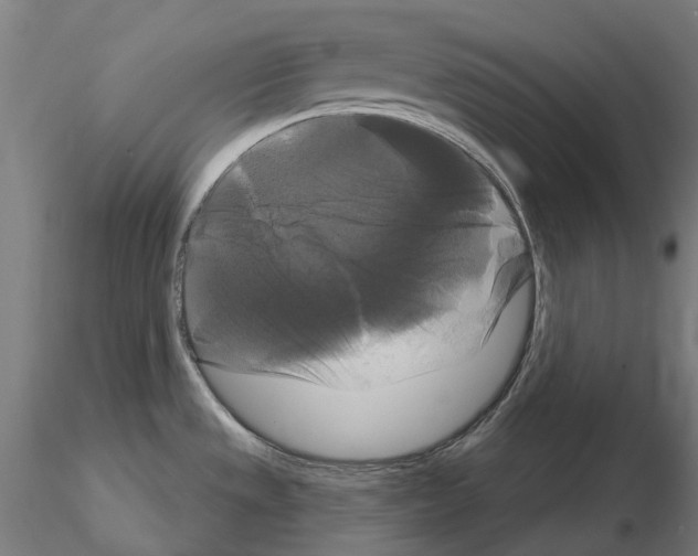 X0000114721533200912021142