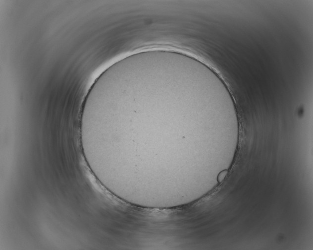 X0000114721534200912021142