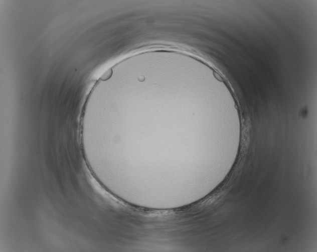 X0000114721535200912021142