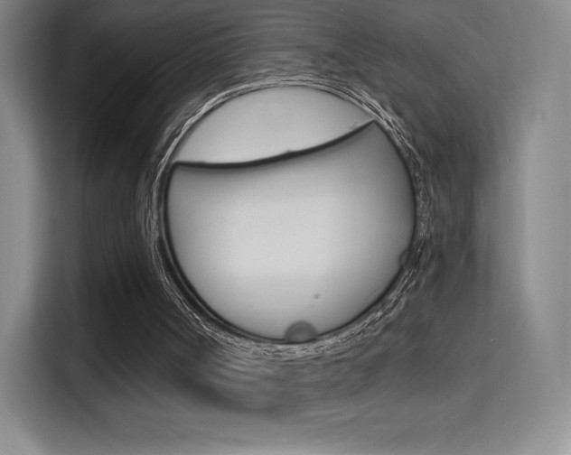 X0000114730002200910211112