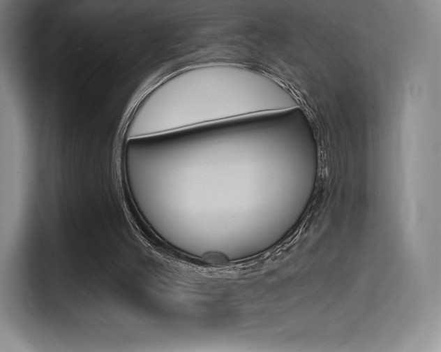 X0000114730004200910211112