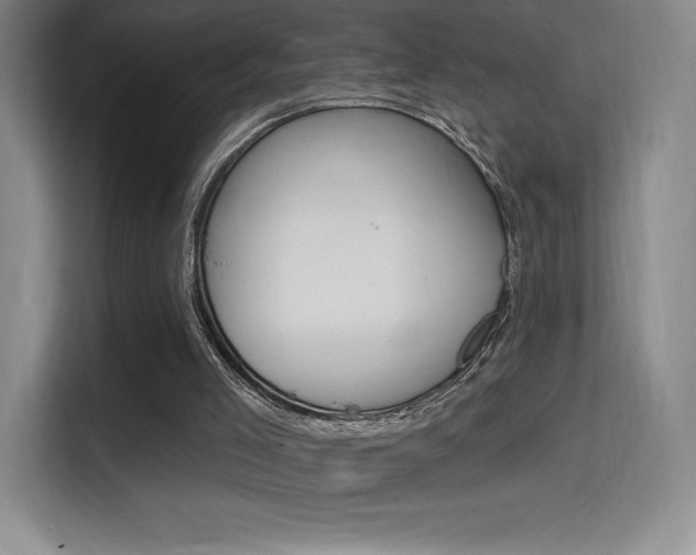 X0000114730005200910211112