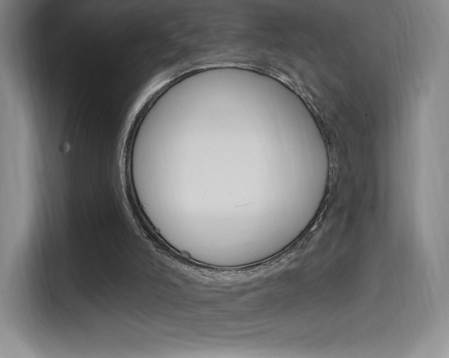 X0000114730006200910211112