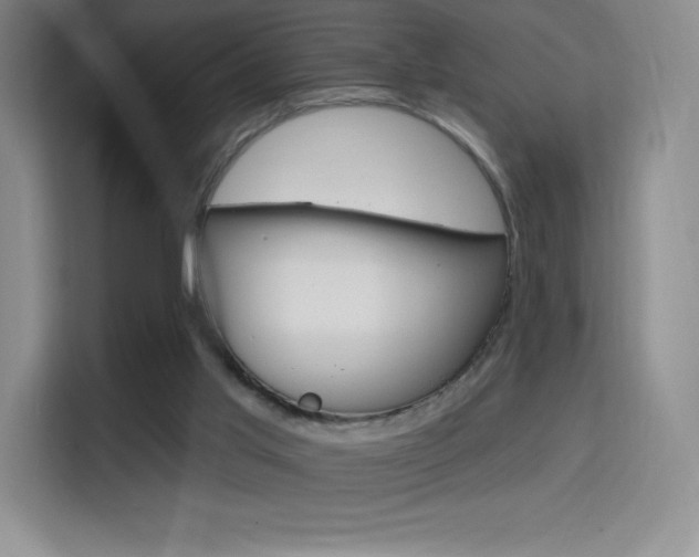X0000114730013200910211112