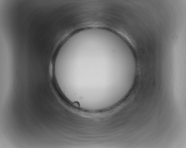 X0000114730014200910211112